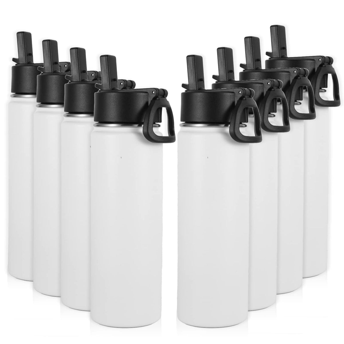 22 oz Stainless Steel Insulated Water Bottles with Straw 8 Pack D75927
