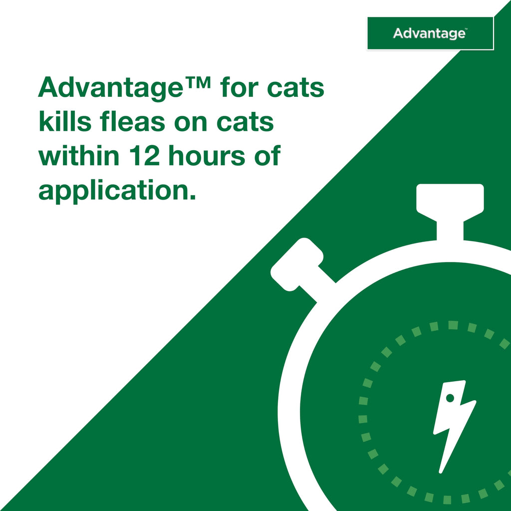 Topical Cat Flea Treatment and Prevention for Small Cats 2-9 lbs E860943