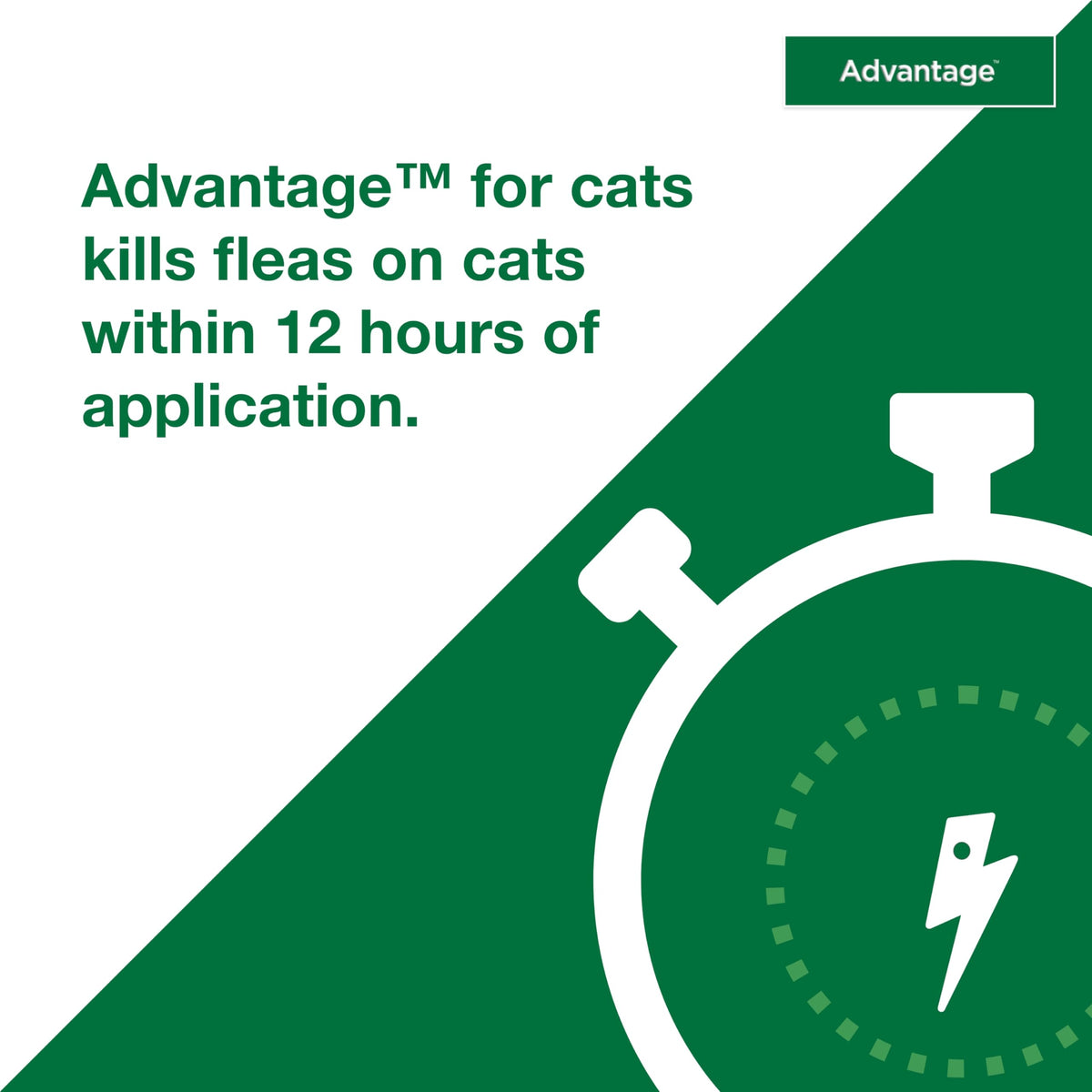 Topical Cat Flea Treatment and Prevention for Small Cats 2-9 lbs E860943