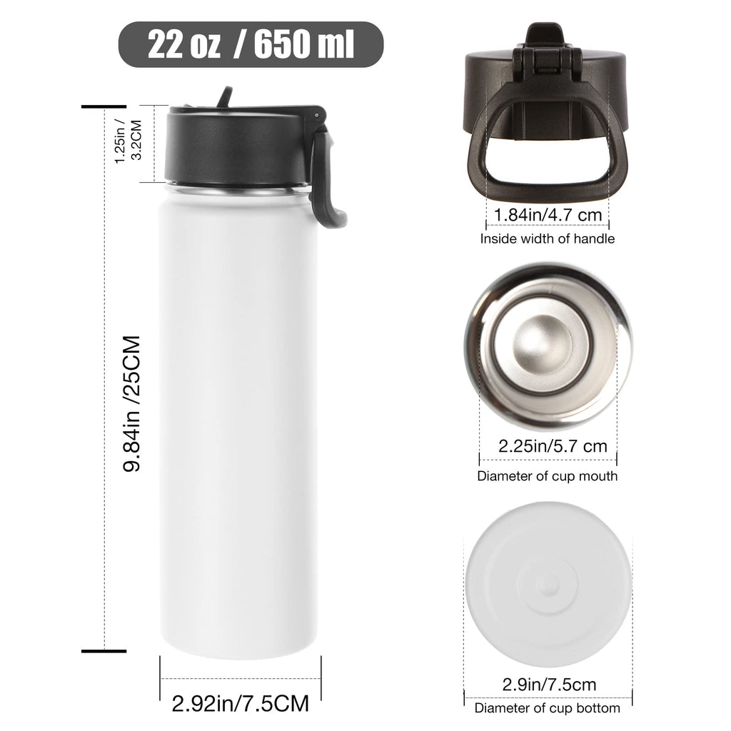 22 oz Stainless Steel Insulated Water Bottles with Straw 8 Pack D75927