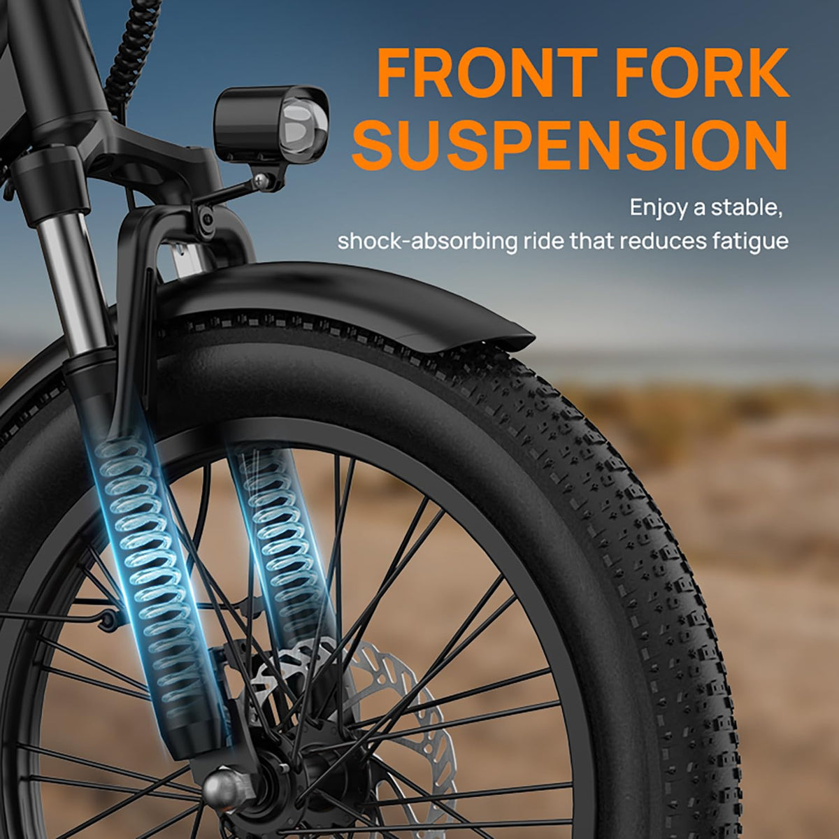 20" Fat Tire Electric Bike with 1000W Motor S36937