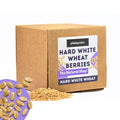 5.5 LB Dry Hard White Wheat Berries Whole Grain R23541