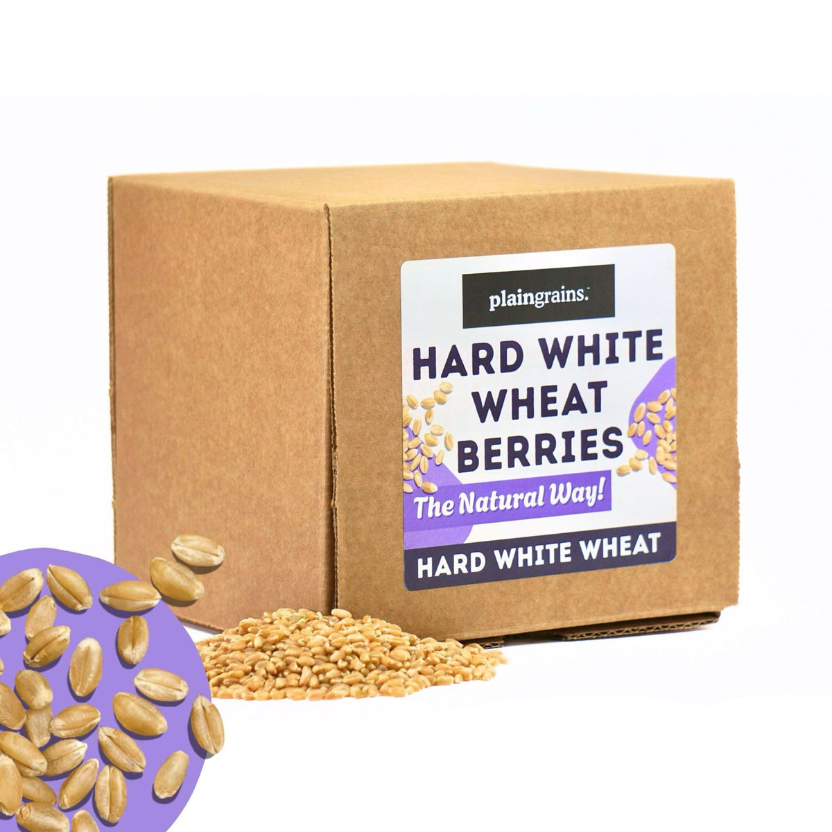 5.5 LB Dry Hard White Wheat Berries Whole Grain R23541