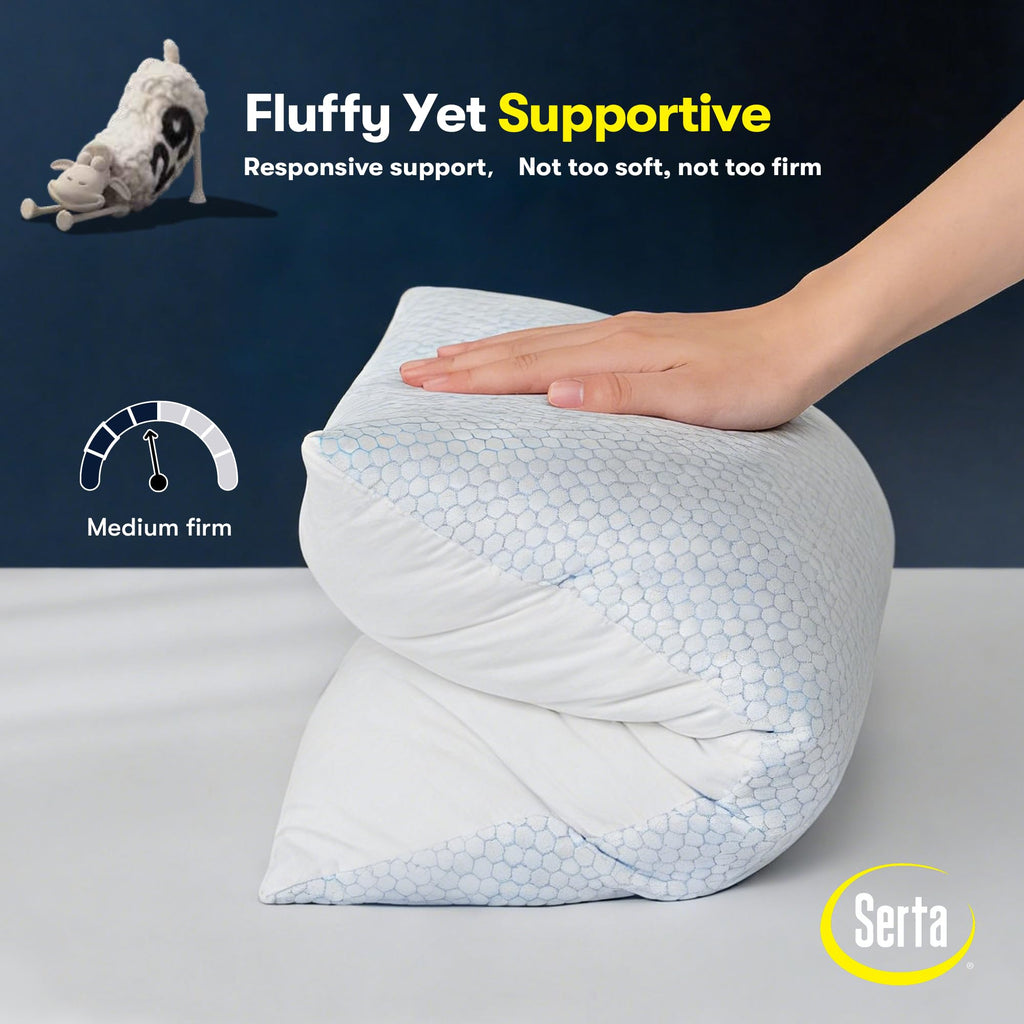 Queen Size Down Alternative Pillows Set of 2 K581