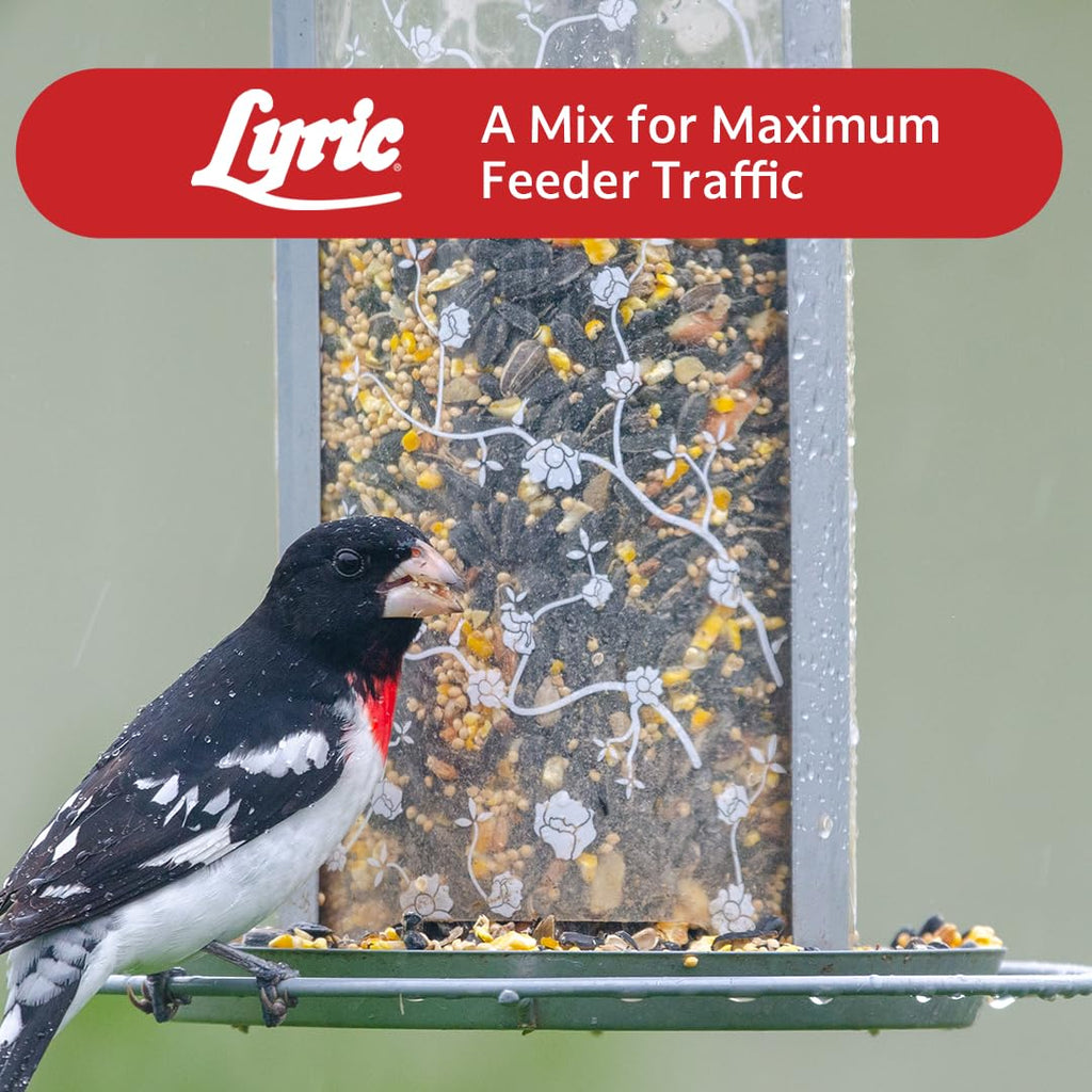 Wild Bird Seed 20 lb. Bag Y3022
