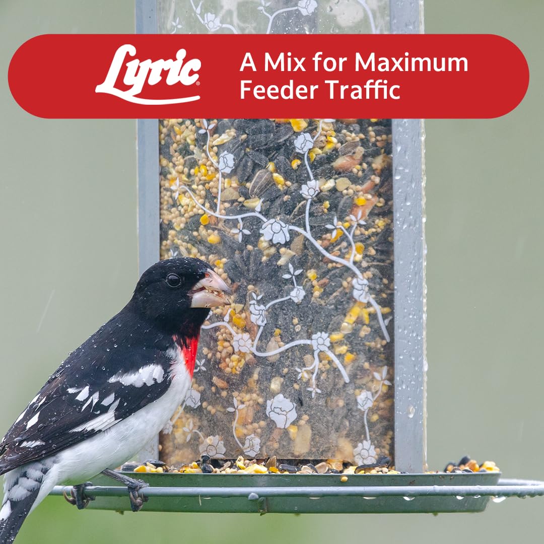 Wild Bird Seed 20 lb. Bag Y3022