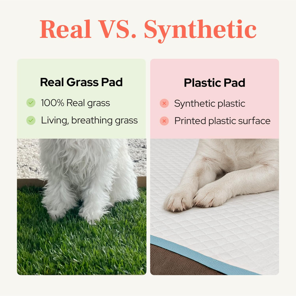 Real Grass Puppy Pads Medium 24x20 T822144