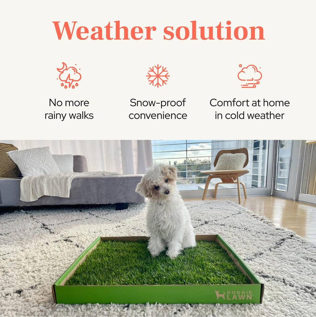 Real Grass Puppy Pads Medium 24x20 T822144