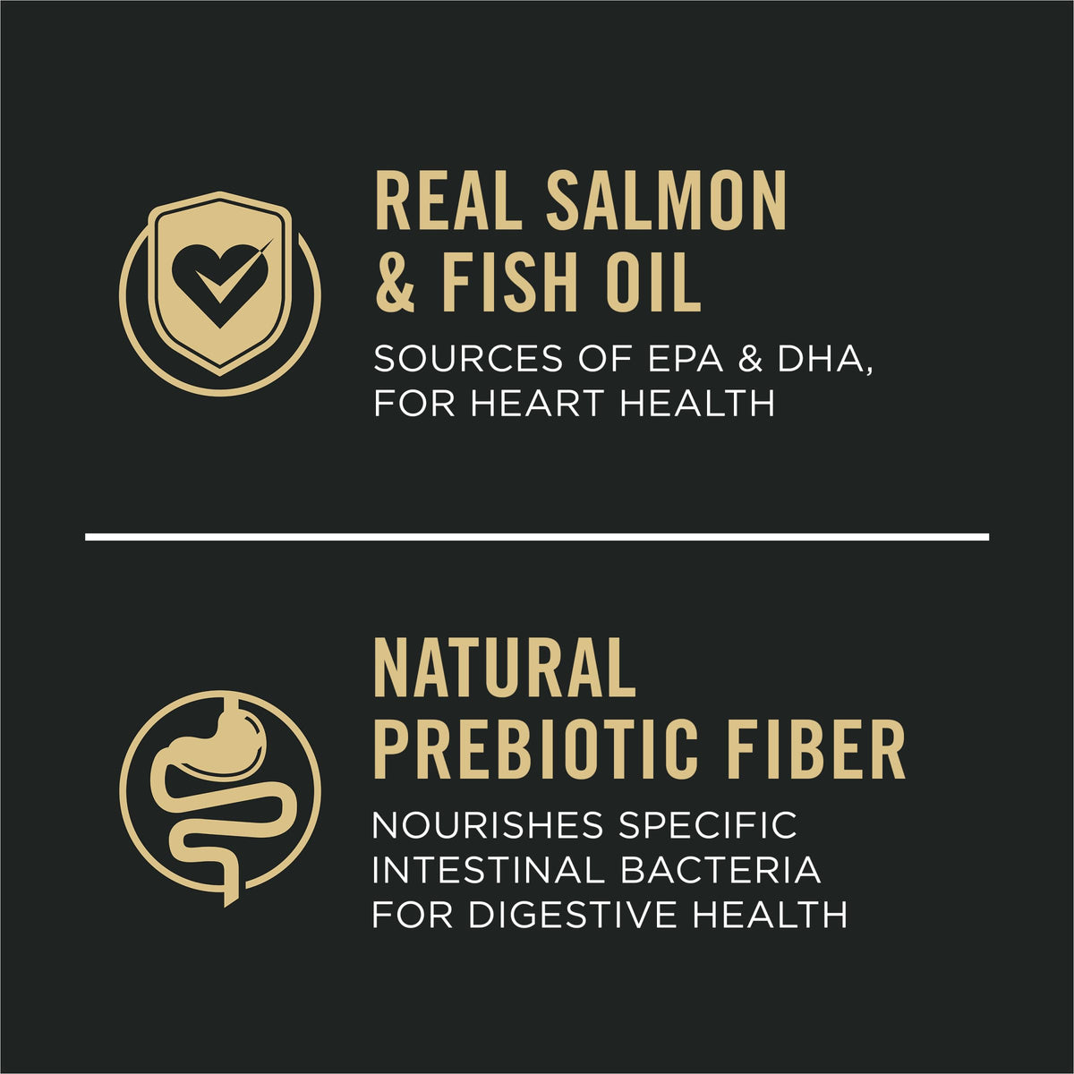 Salmon Dry Dog Food 16 lb Bag Q161
