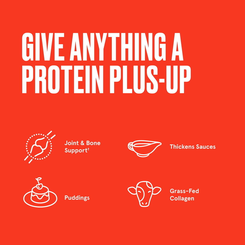 Gelatin with Collagen Protein 16 Ounces X9346