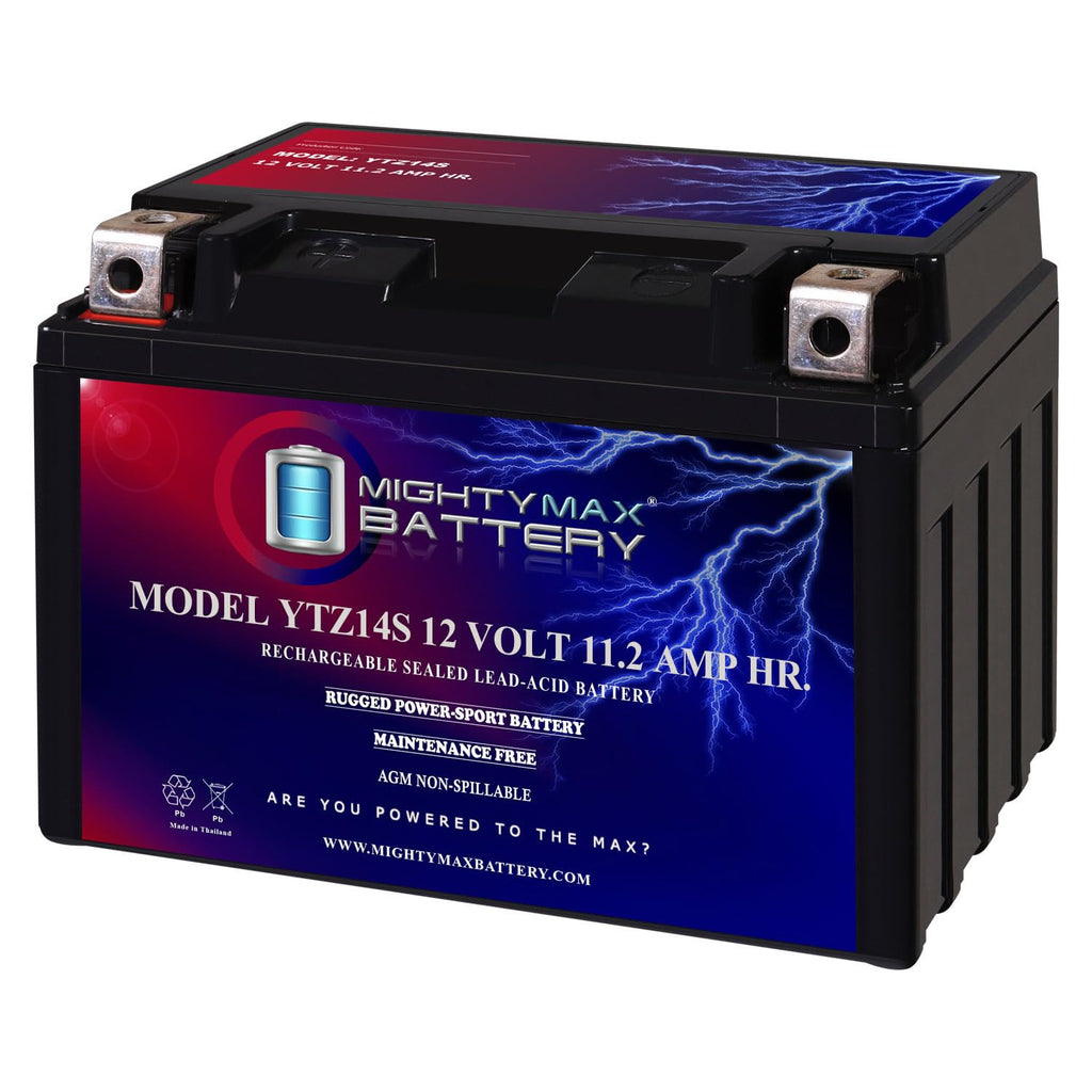 12V 11.2Ah Battery W209