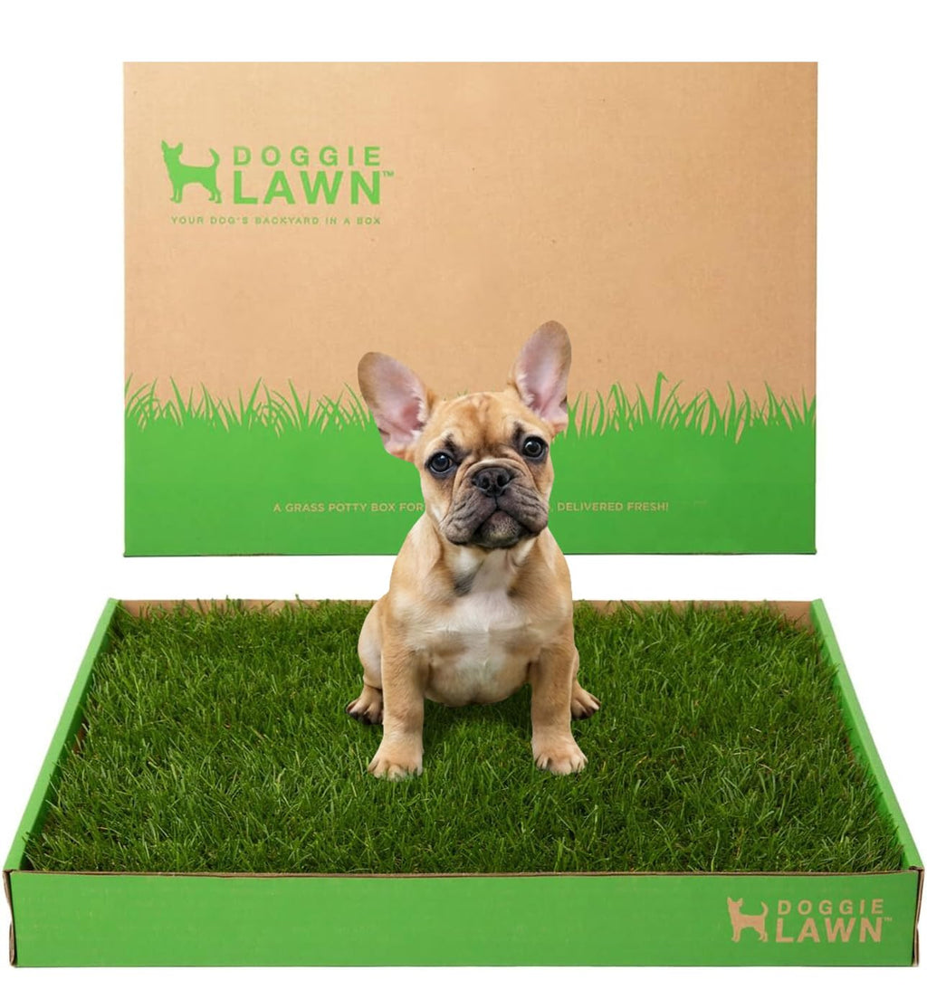 Real Grass Puppy Pads Medium 24x20 T822144