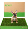 Real Grass Puppy Pads Medium 24x20 T822144