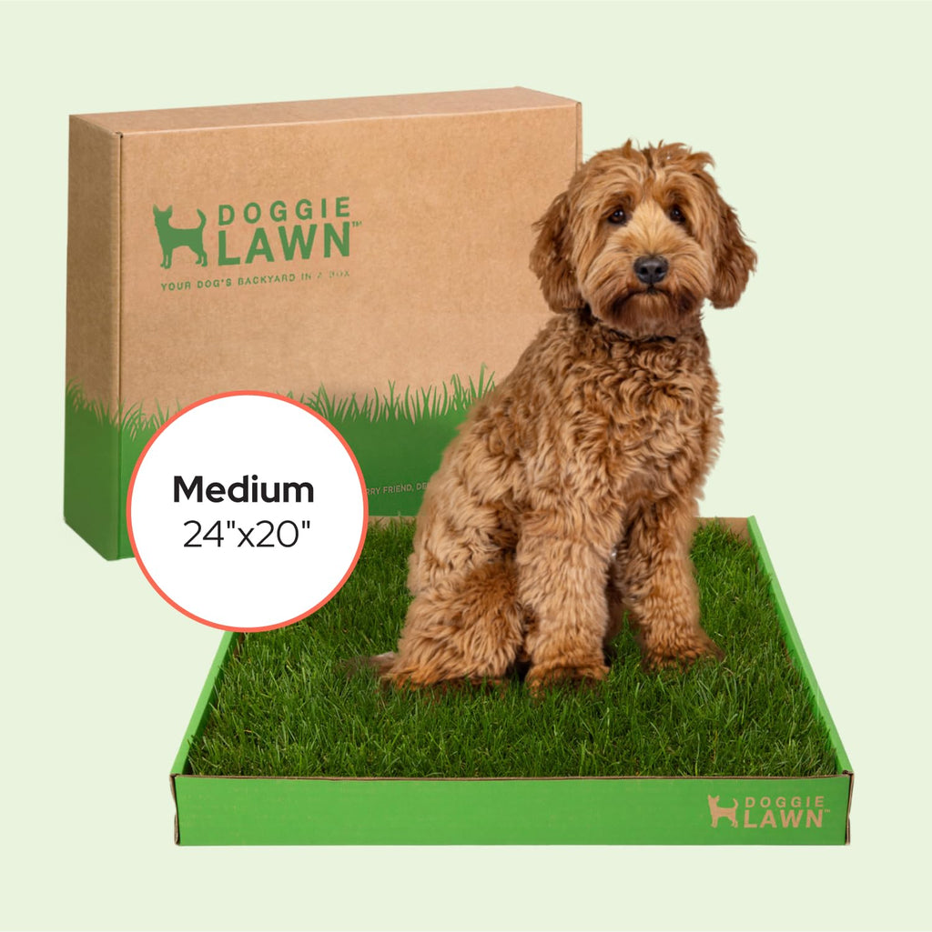 Real Grass Puppy Pads Medium 24x20 T822144
