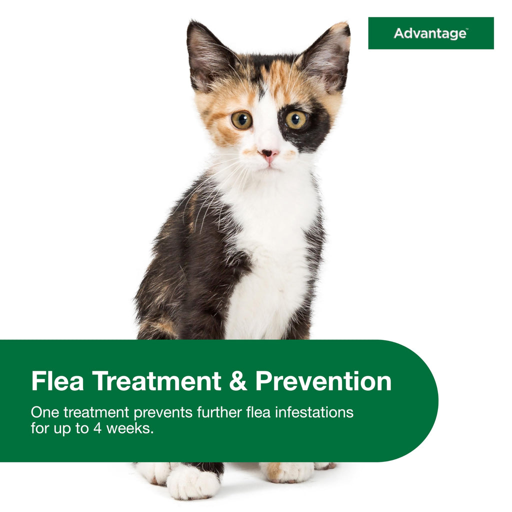 Topical Cat Flea Treatment and Prevention for Small Cats 2-9 lbs E860943