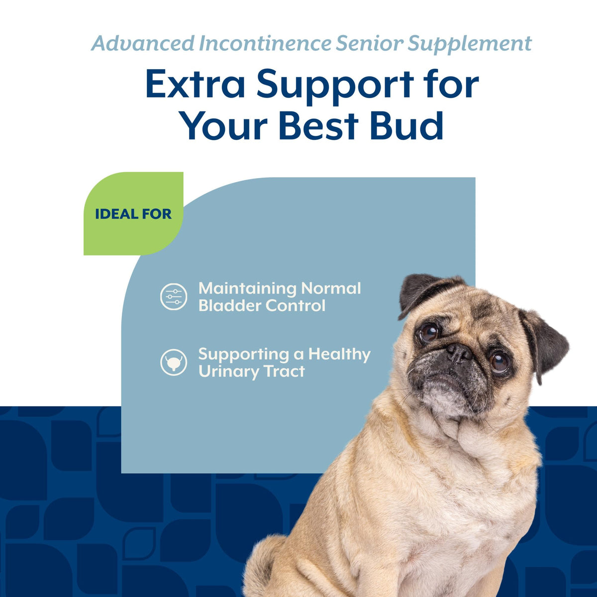 Senior Incontinence Dog Supplement 120 Ct F9195