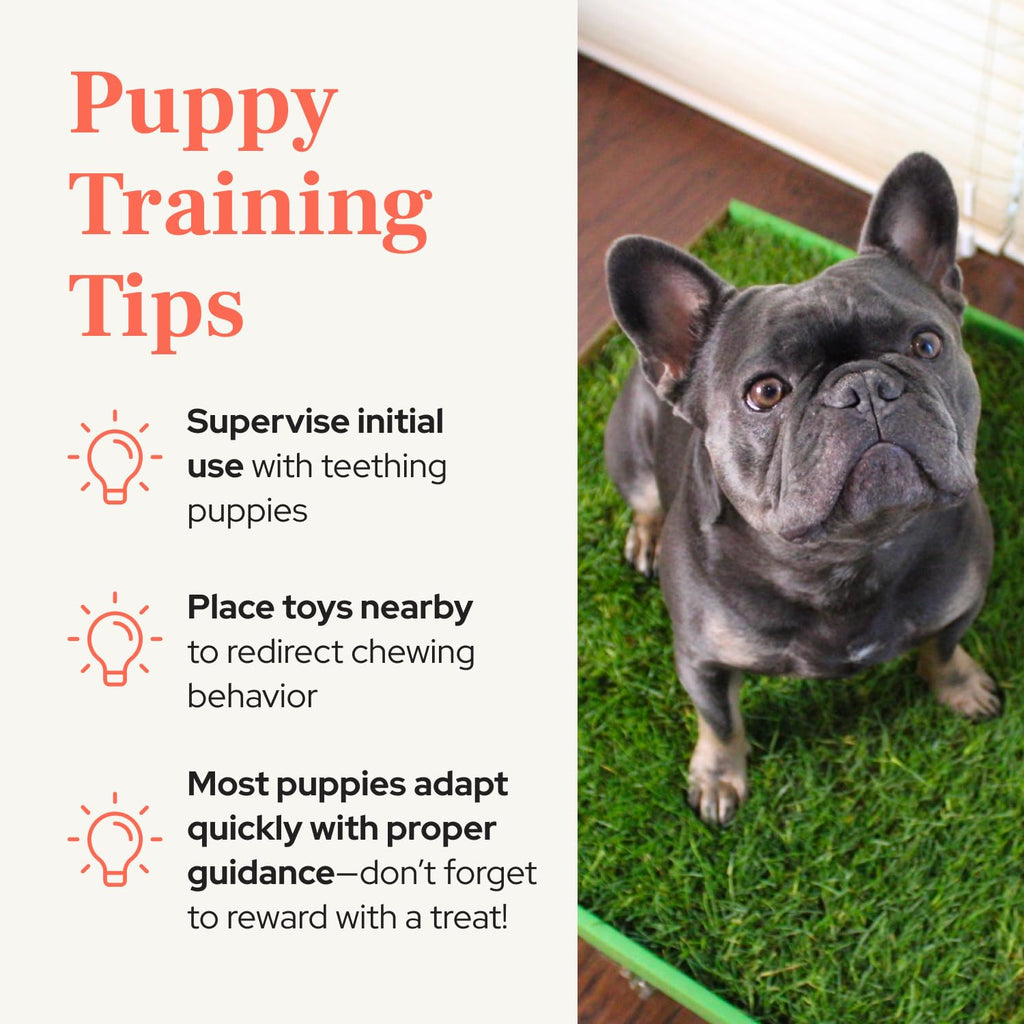 Real Grass Puppy Pads Medium 24x20 T822144