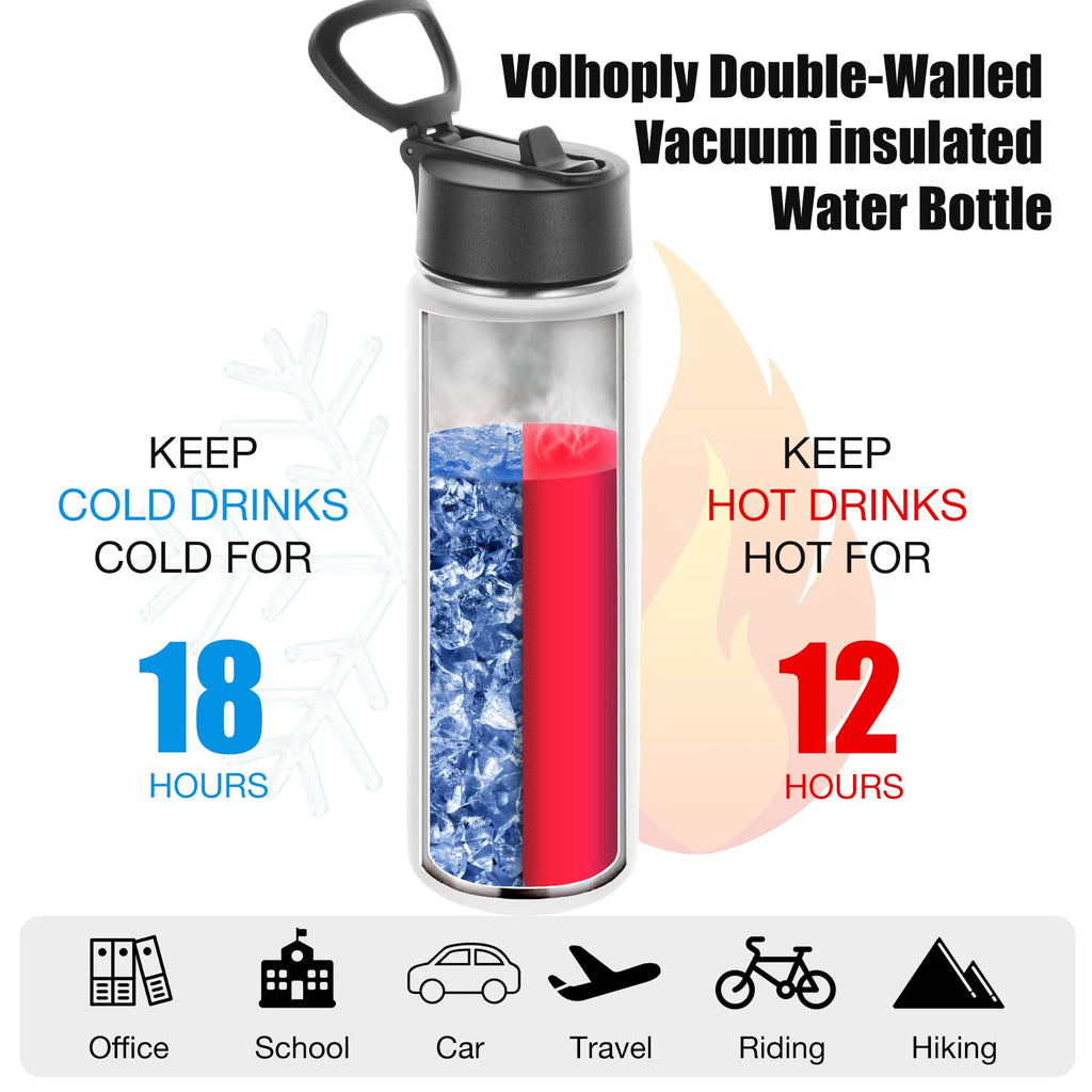 22 oz Stainless Steel Insulated Water Bottles with Straw 8 Pack D75927