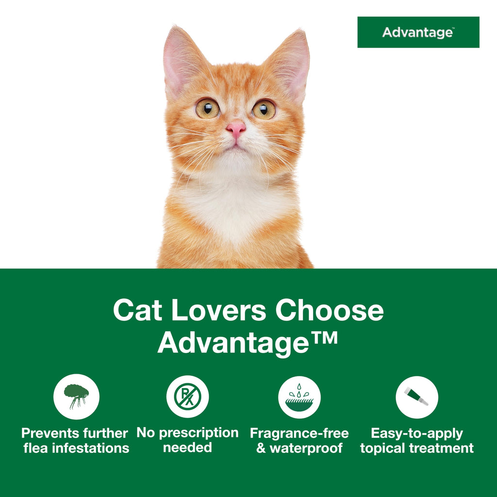 Topical Cat Flea Treatment and Prevention for Small Cats 2-9 lbs E860943