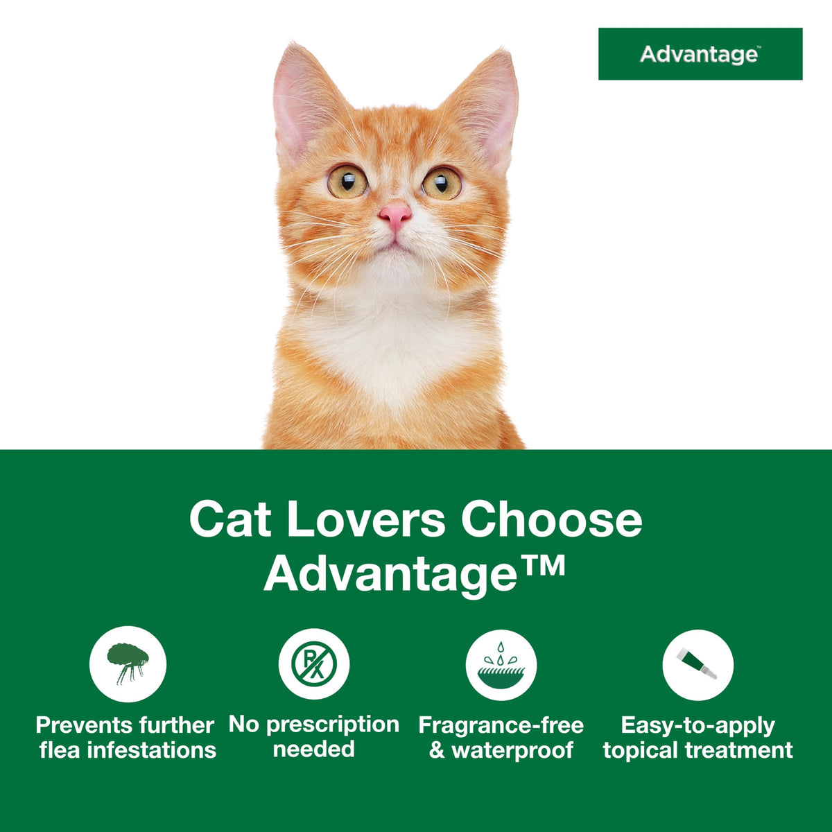 Topical Cat Flea Treatment and Prevention for Small Cats 2-9 lbs E860943