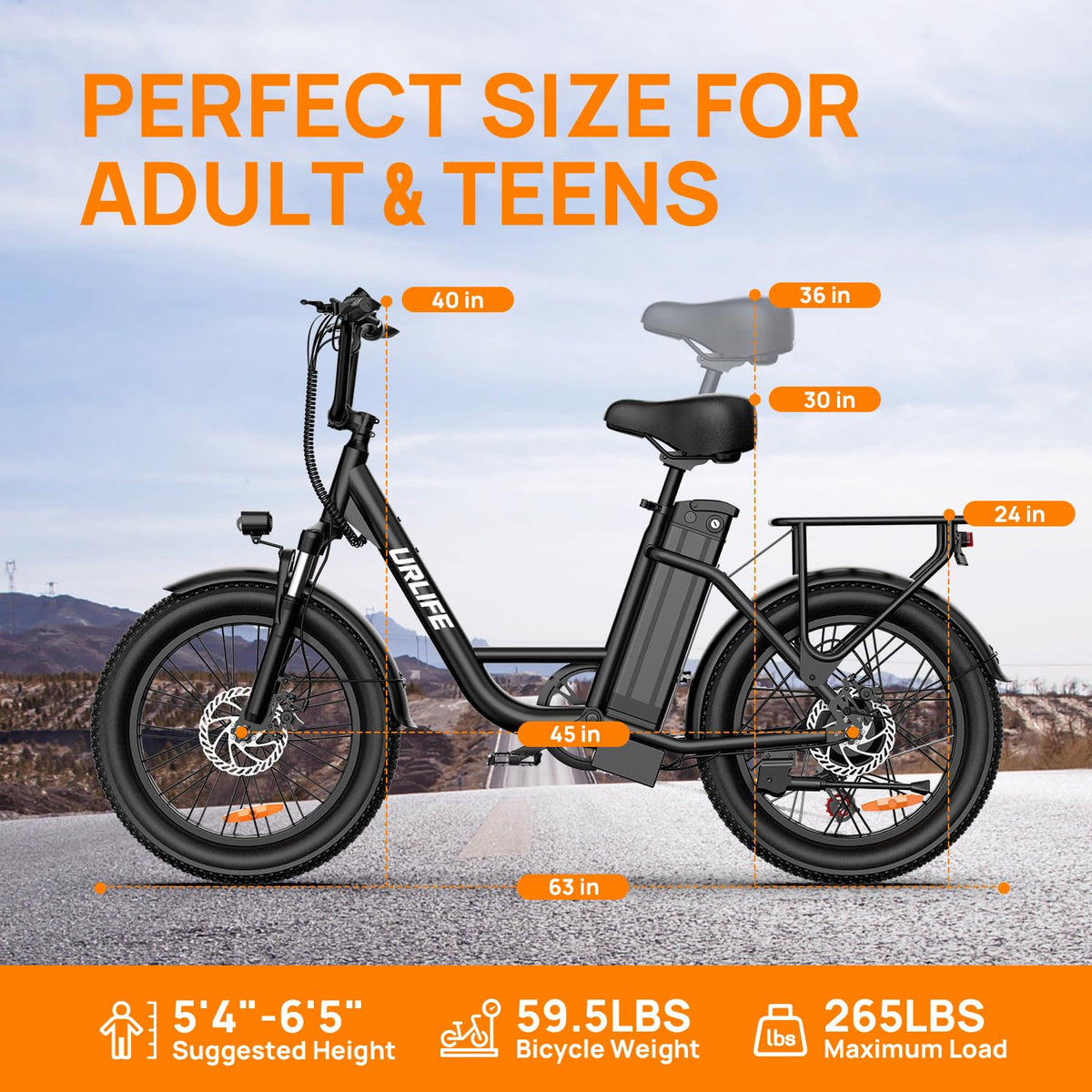 20" Fat Tire Electric Bike with 1000W Motor S36937