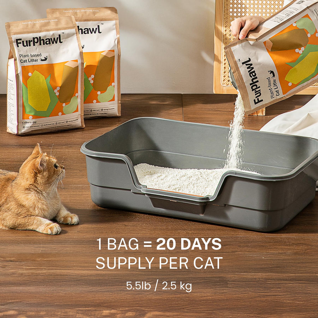 Cassava Plant-Based Clumping Cat Litter 11 lb 2 Bags D2815