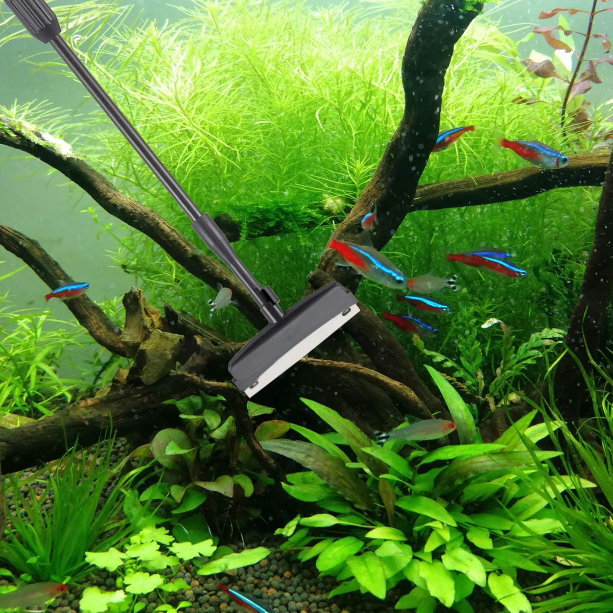 6 in 1 Aquarium Cleaning Tool Kit Q716688