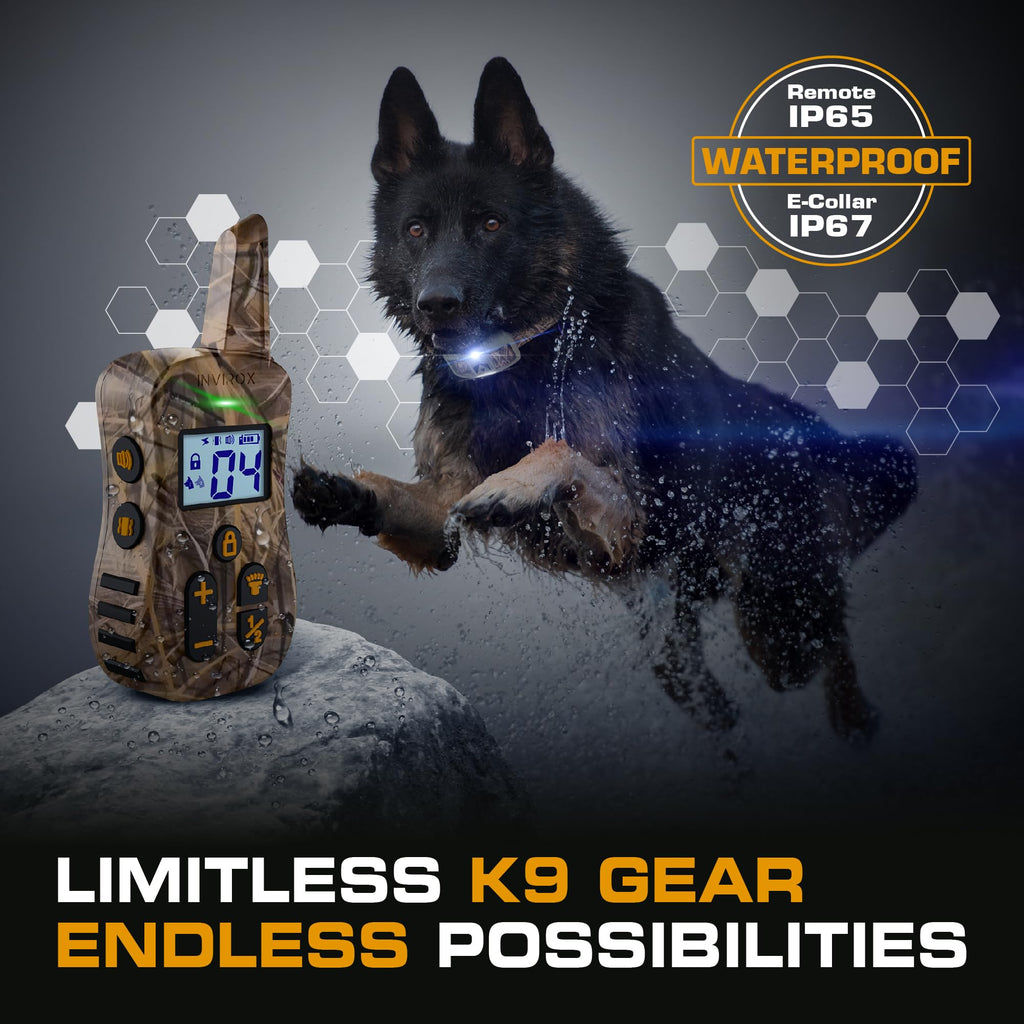 Dog Training Collar with Remote B94581