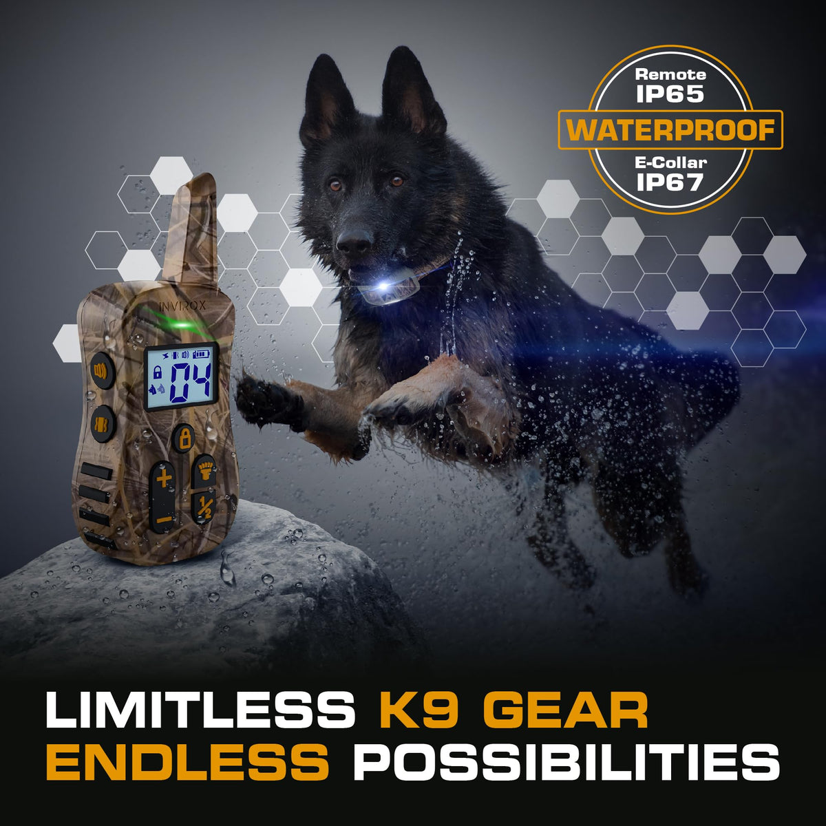 Dog Training Collar with Remote B94581