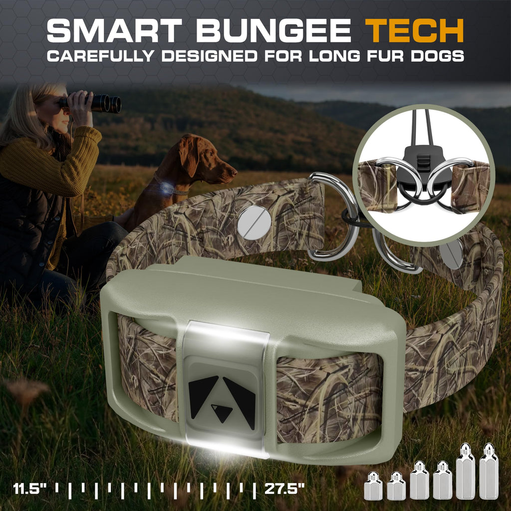 Dog Training Collar with Remote B94581