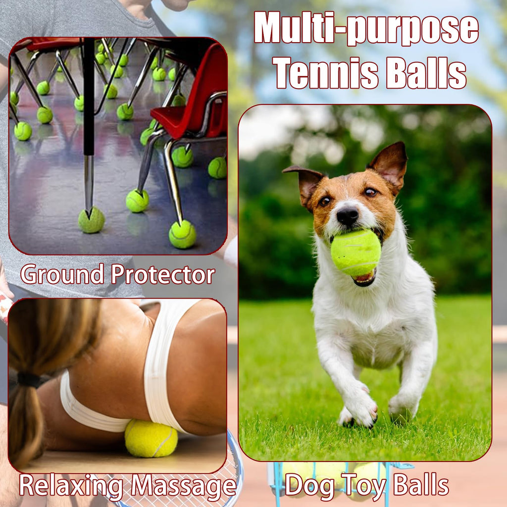 Tennis Ball 30/60 Bulk Pack O59550