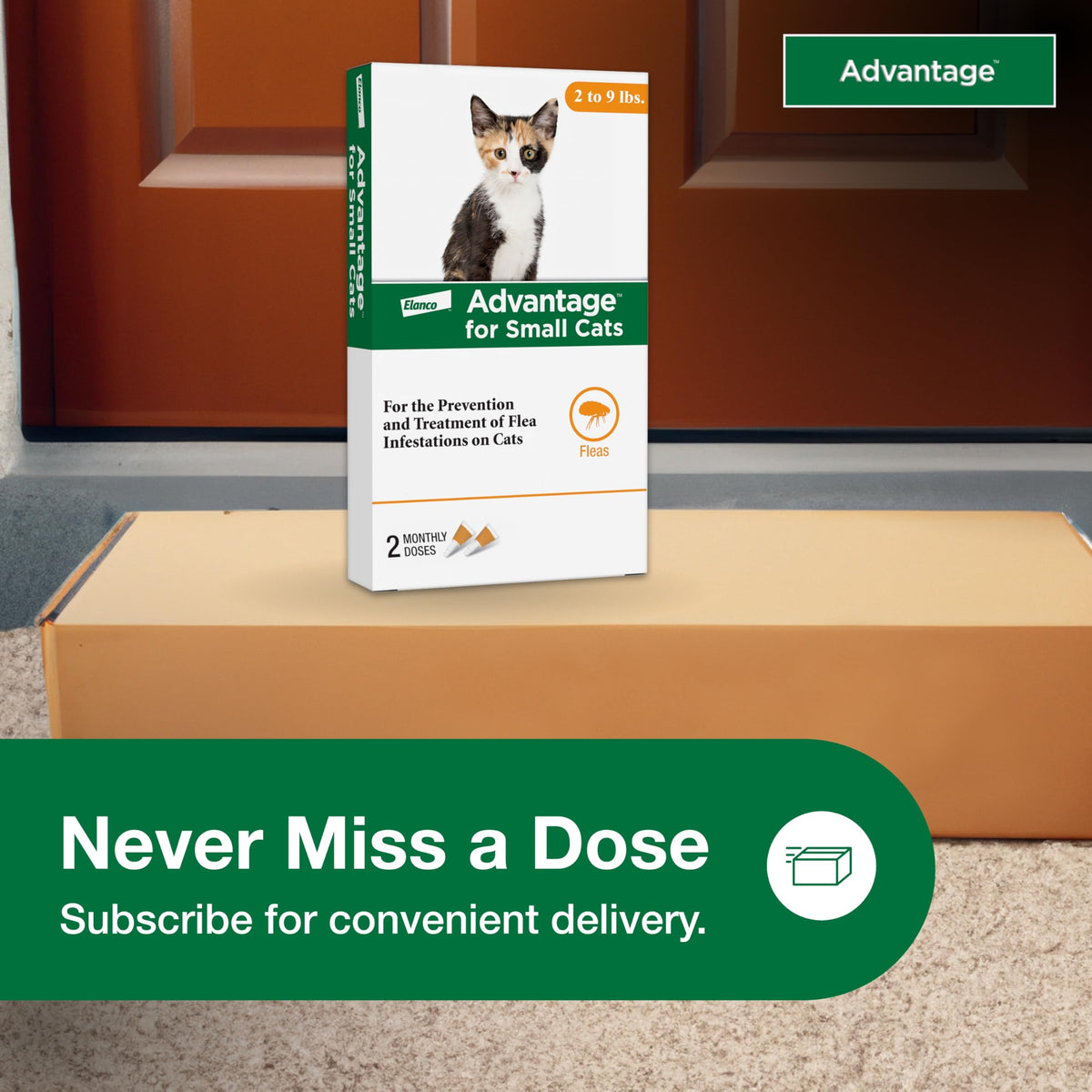 Topical Cat Flea Treatment and Prevention for Small Cats 2-9 lbs E860943