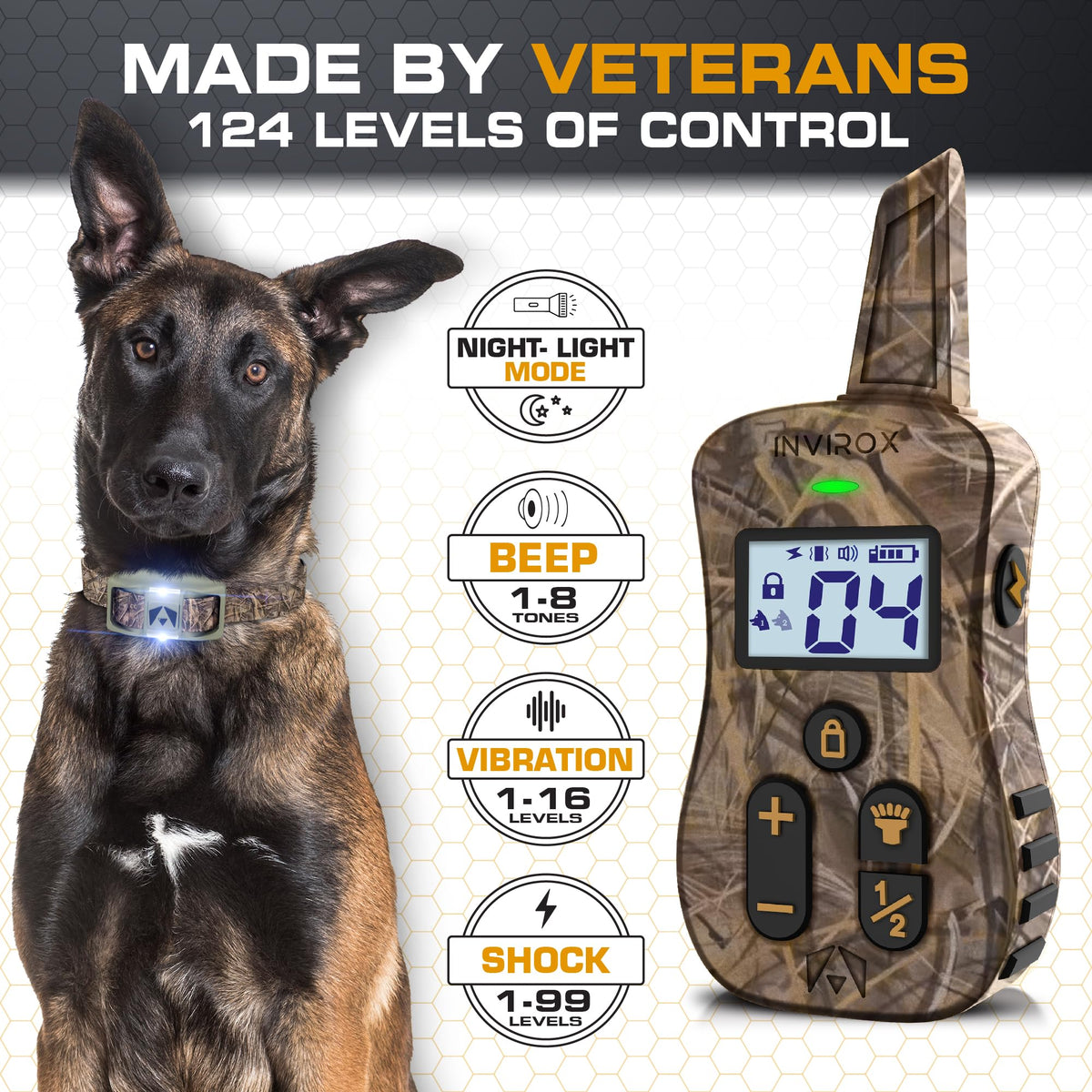 Dog Training Collar with Remote B94581