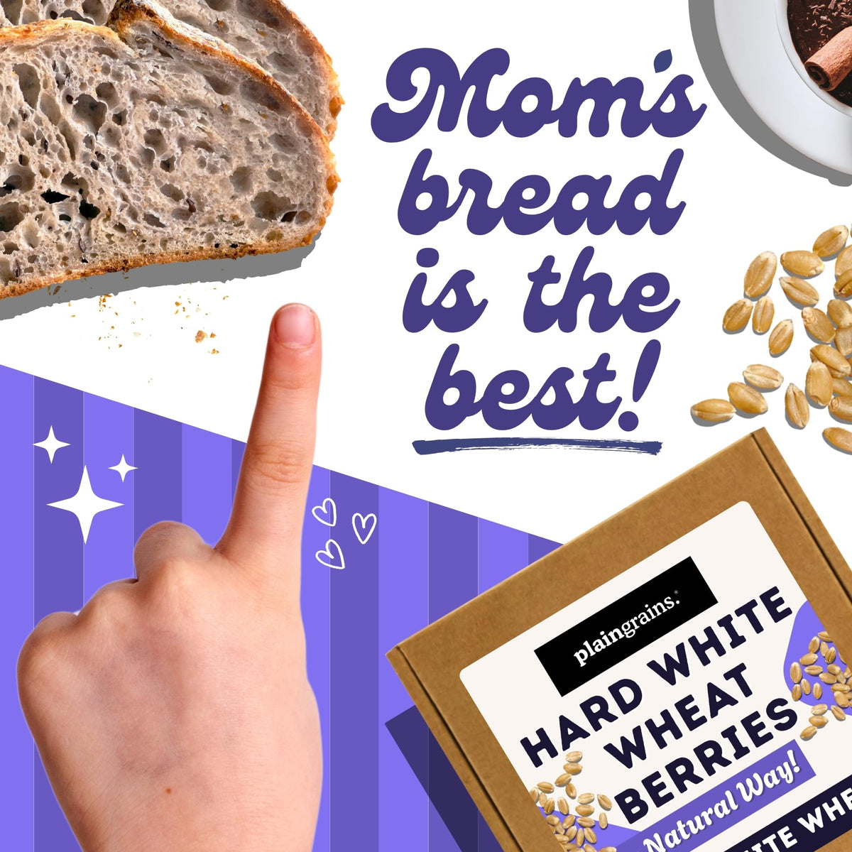 5.5 LB Dry Hard White Wheat Berries Whole Grain R23541