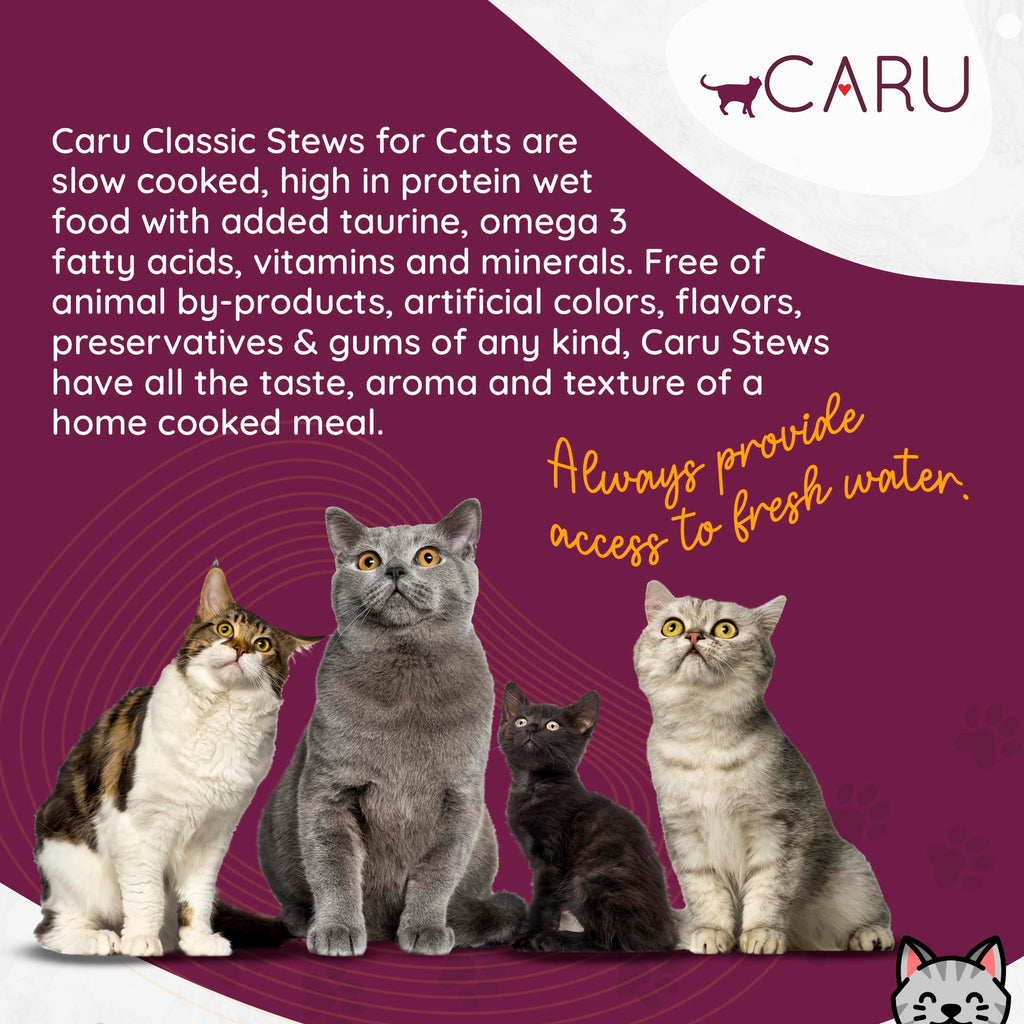 Turkey Recipe Cat Stew 5.5 oz Case of 12 F2730