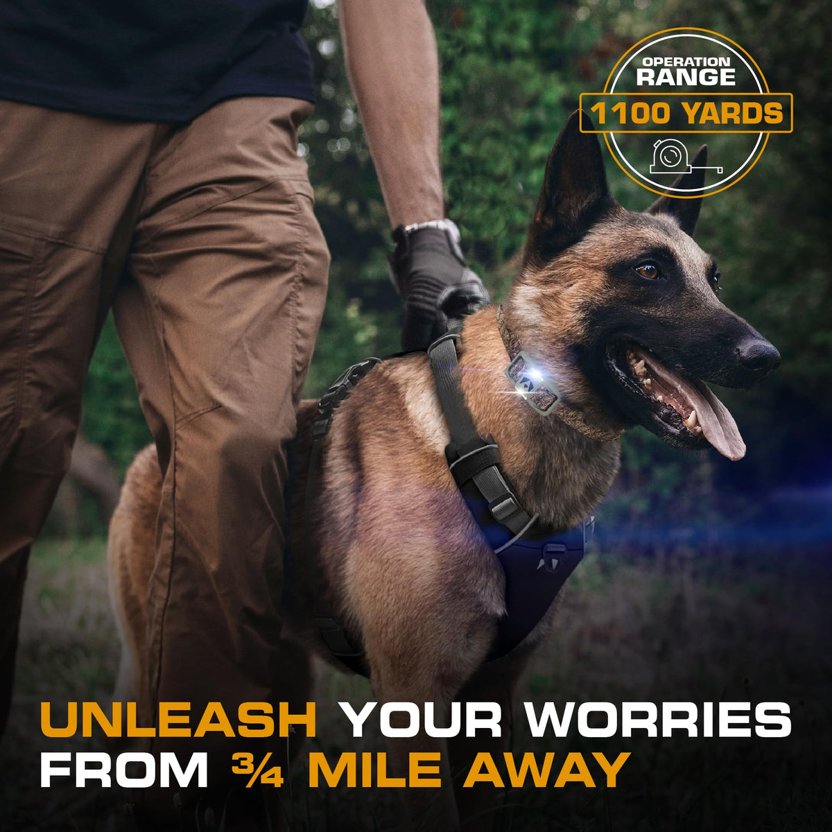 Dog Training Collar with Remote B94581
