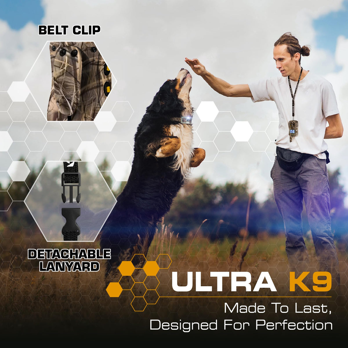Dog Training Collar with Remote B94581
