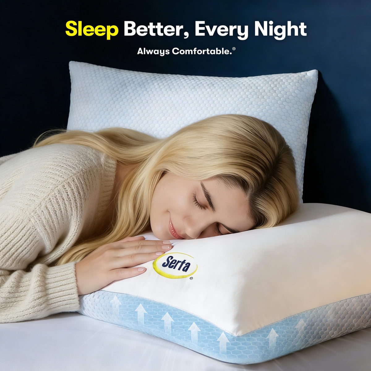 Queen Size Down Alternative Pillows Set of 2 K581