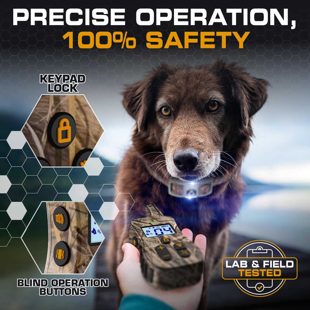 Dog Training Collar with Remote B94581