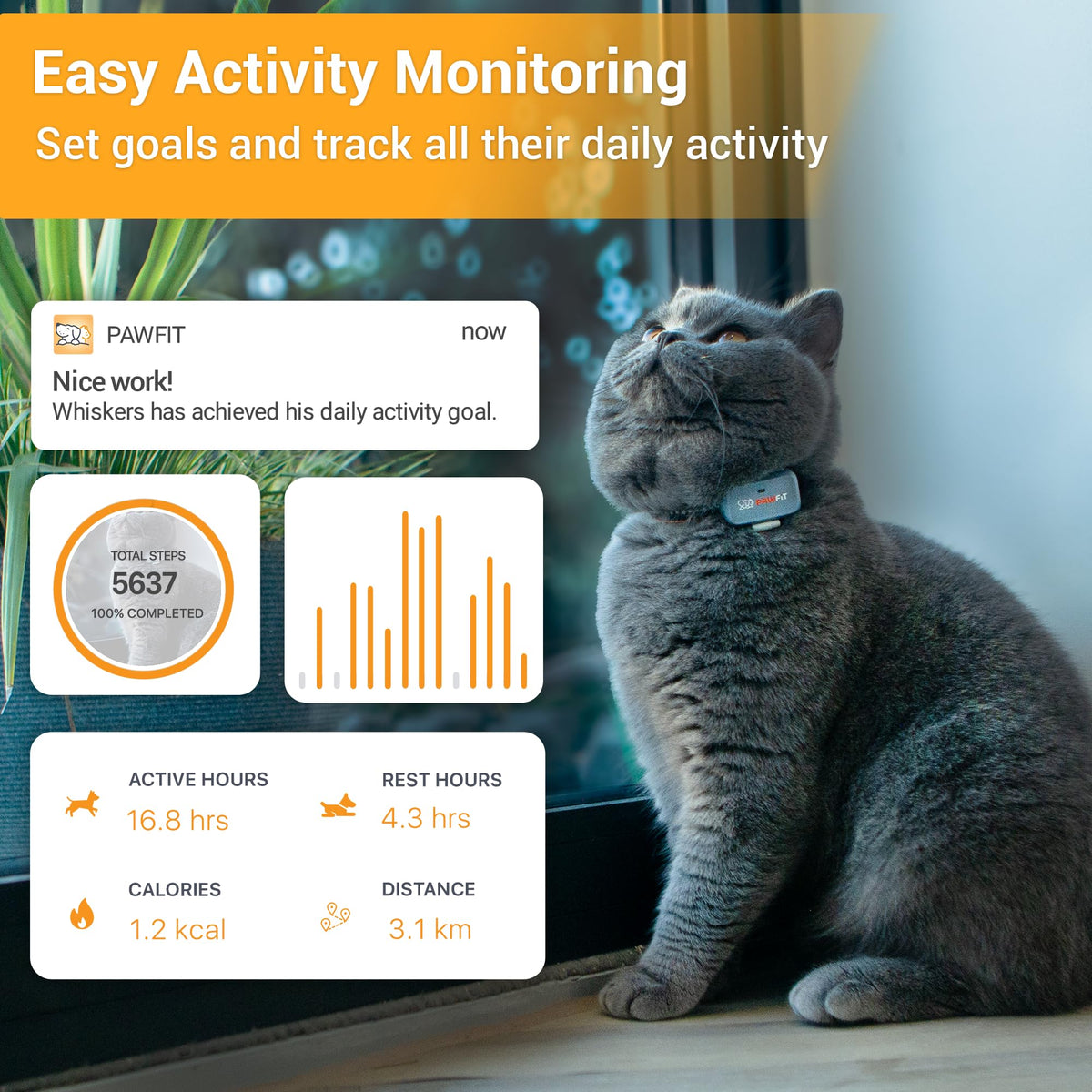 4G GPS Cat Tracker, Ultra-Light, Onyx Black P9298