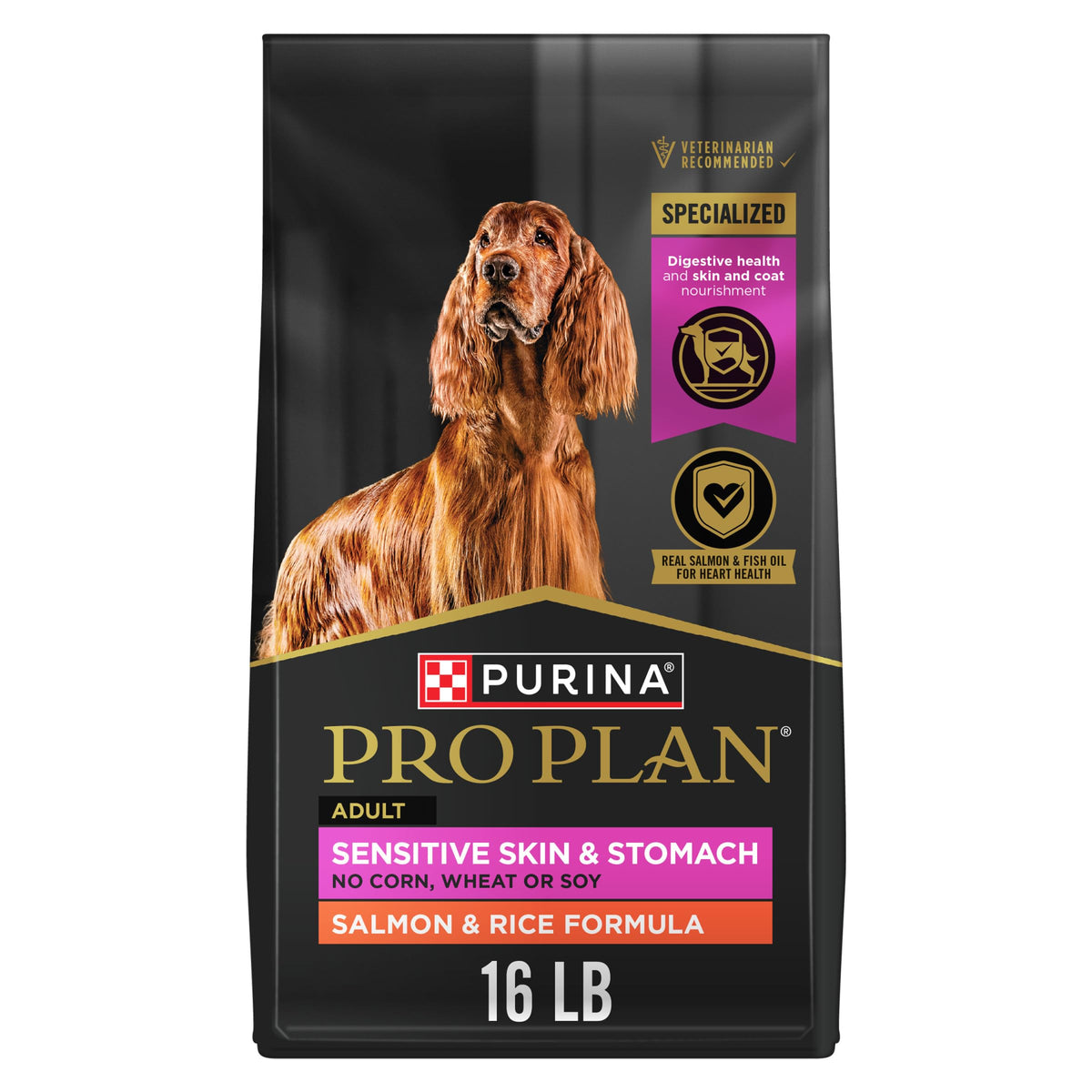 Salmon Dry Dog Food 16 lb Bag Q161