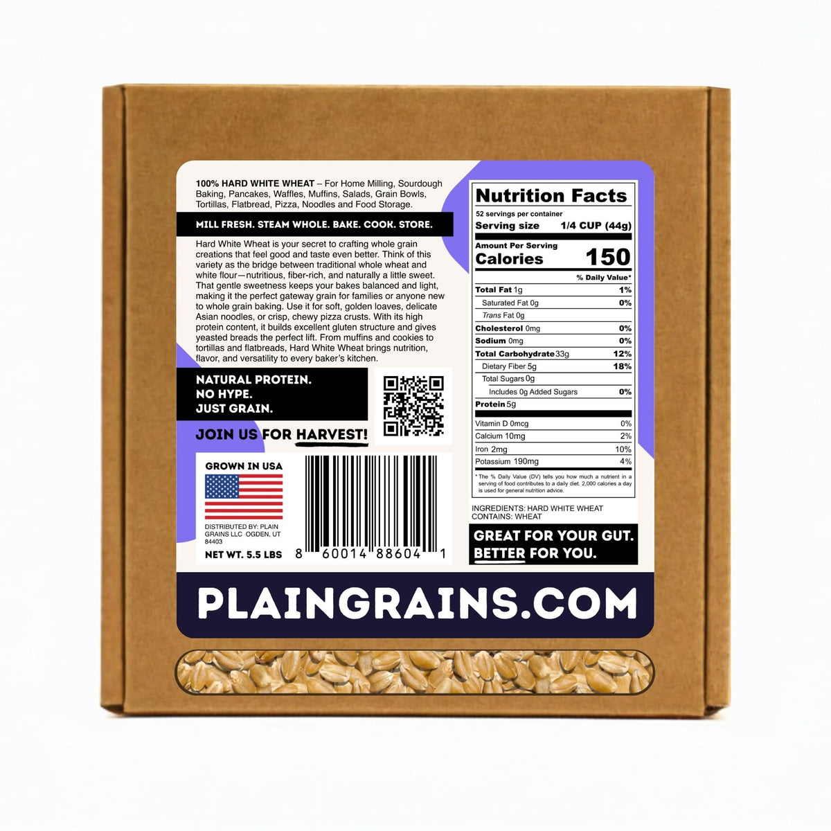 5.5 LB Dry Hard White Wheat Berries Whole Grain R23541