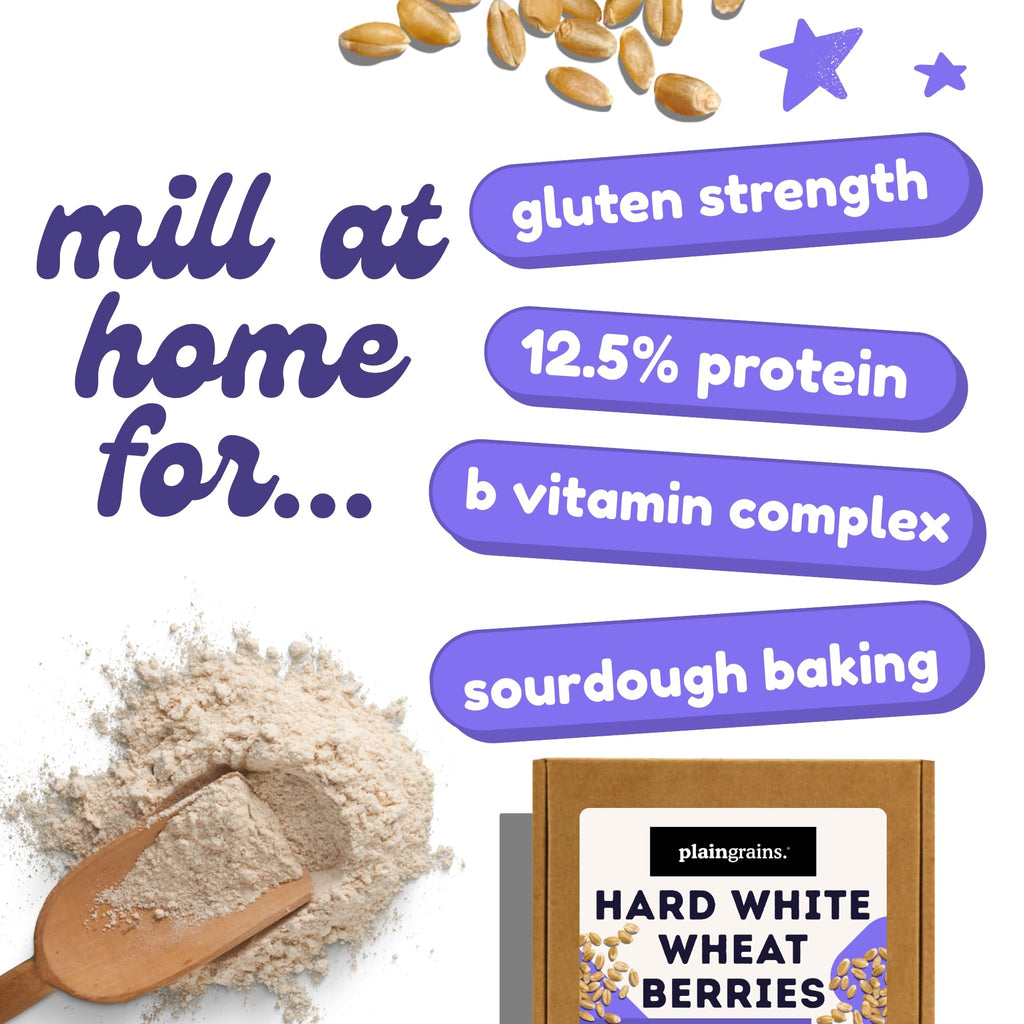 5.5 LB Dry Hard White Wheat Berries Whole Grain R23541