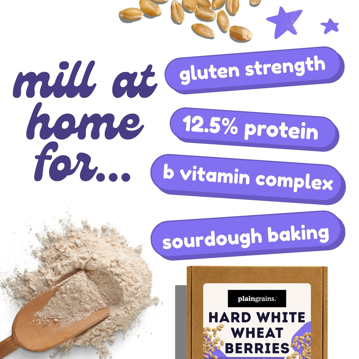5.5 LB Dry Hard White Wheat Berries Whole Grain R23541