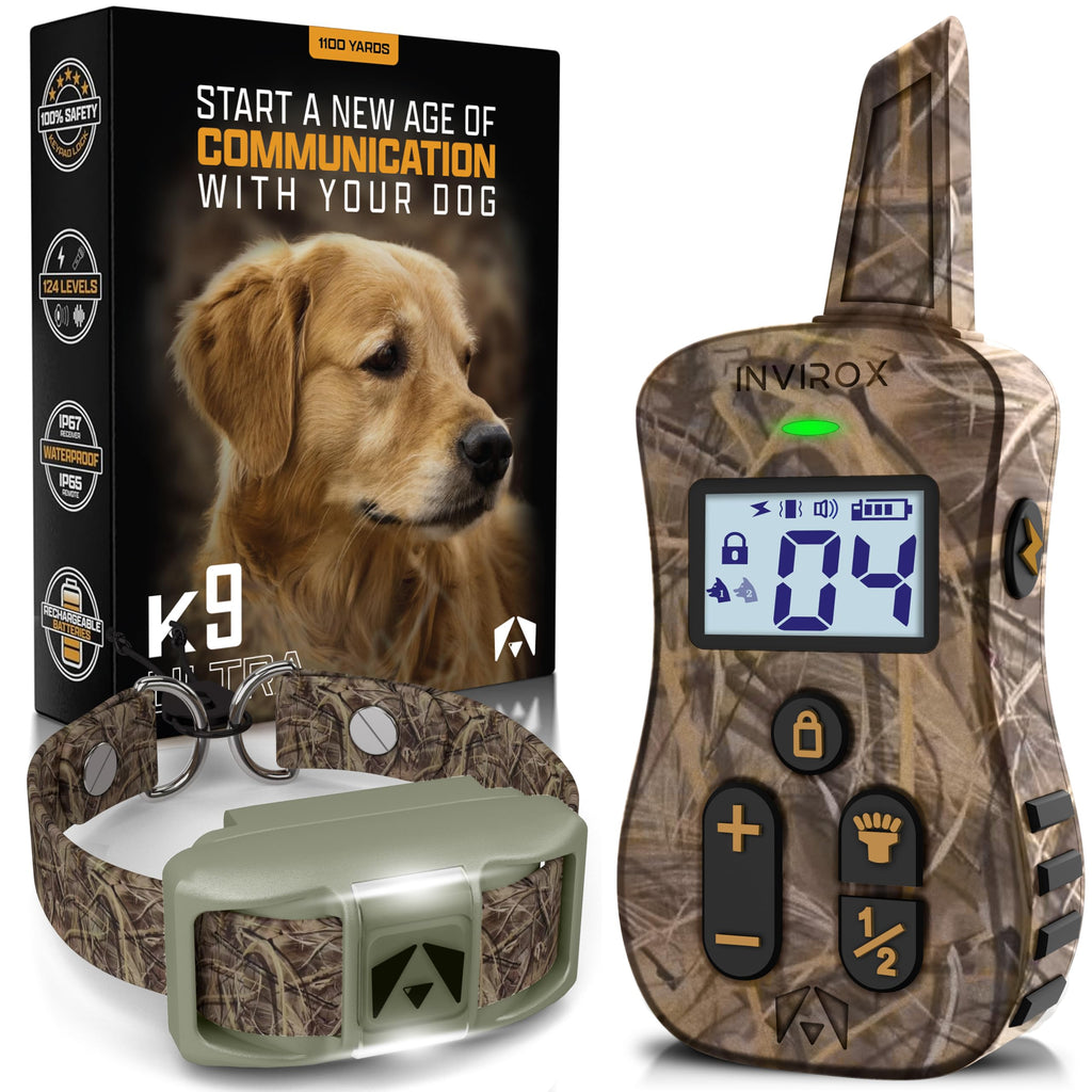 Dog Training Collar with Remote B94581