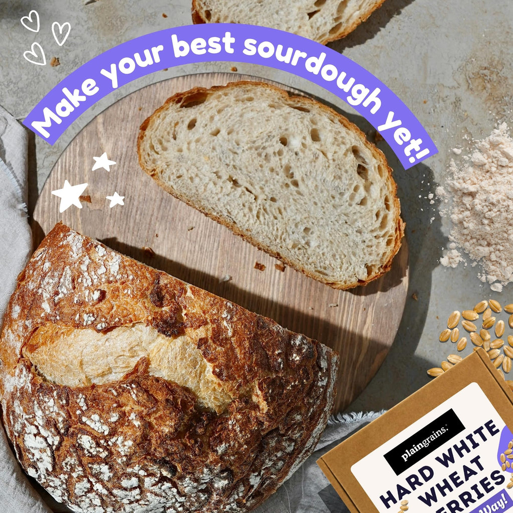 5.5 LB Dry Hard White Wheat Berries Whole Grain R23541