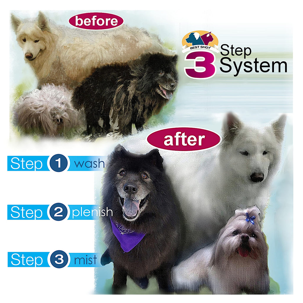 Soap-Free Quick-Rinsing Pet Shampoo 1 Gallon K380